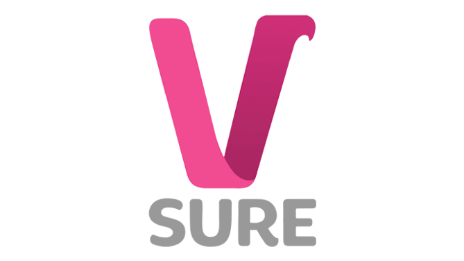 Partner_vsure-2